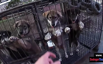 JAV Teen Siren Sucks Her Lover's Huge Rod in Hotel Room